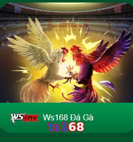 ts168